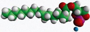 17:0 Cyclic LPA 857324P-1MG