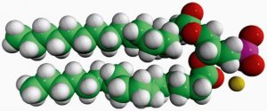 17:0 PA 830856P-25MG