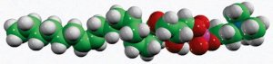 17:1 Lyso PC 855677C-10MG