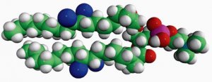 18:0 (9,10dibromo) PC 850366C-10MG