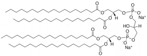 18:0 Cardiolipin 710334P-25MG