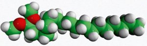 18:0 dimethylacetal 852448C-10MG