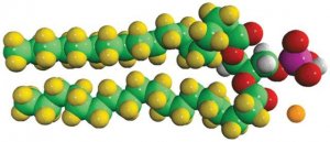 18:0 PA-d70 860454P-10MG