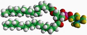 18:0 PC-d13 860363P-10MG