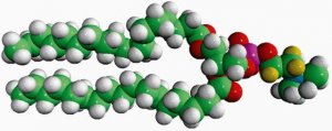 18:0 PC-d4 860361P-10MG