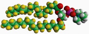 18:0 PC-d70 860365C-10MG
