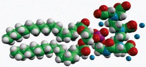 18:0 PE-DTPA 791300P-5MG