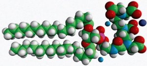 18:0 PE-DTPA (Gd) 791275P-5MG