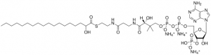 18:0(-OH) Coenzyme A 870734P-5MG