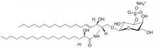 18:0(2R-OH) Sulfo GalCer 860842P-1MG