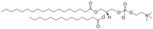 18:0-14:0 PC 850464P-25MG