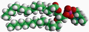 18:0-16:0 PC 850465C-25MG