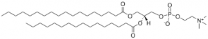 18:0-16:0 PC 850465C-25MG