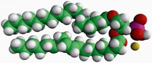 18:0-18:2 PA 840862P-25MG