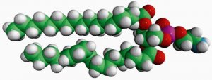 18:0-18:2 PE 850802C-25MG