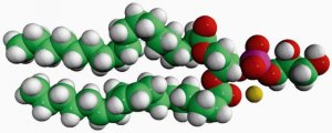 18:0-18:2 PG 840504C-25MG