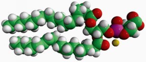18:0-18:2 PS 840063P-10MG