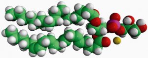 18:0-20:4 PG 840505C-25MG