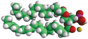 18:0-22:6 PA 840864C-25MG