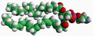 18:0-22:6 PE 850806C-25MG