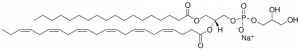18:0-22:6 PG 840506C-25MG