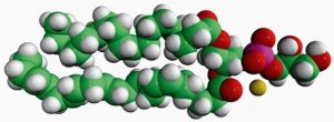 18:0-22:6 PG 840506C-25MG