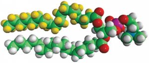 18:0-d35-18:0 PC 860395P-10MG