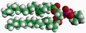 18:1 (6-Cis) PC 850374C-25MG