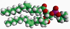 18:1 (9-Cis) PC (DOPC) 