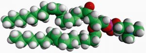 18:1 (9-Trans) PC 850376C-25MG