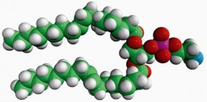 18:1 (9-Trans) PE 850726P-25MG