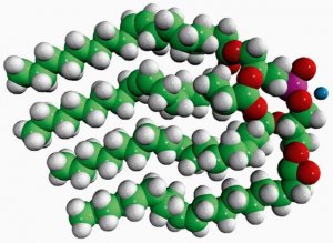 18:1 BDP (S,S) 857137C-5MG