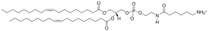 18:1 Caproylamine PE 870122P-25MG