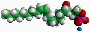 18:1 Cyclic LPA 857328P-1MG