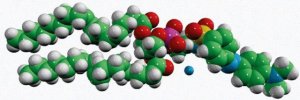 18:1 Dabsyl PE 810509P-5MG