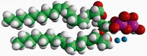 18:1 DGPP 810811P-5MG