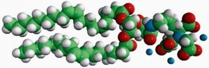 18:1 DGS-NTA 790528C-5MG