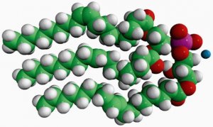 18:1 Hemi BMP (S,R) 857134C-5MG