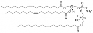 18:1 Hemi BMP (S,R) 857134P-5MG