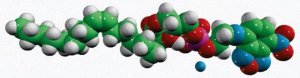 18:1 NBD Lyso PE 810127C-500UG