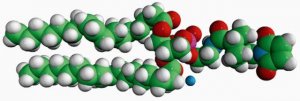 18:1 PE MCC 780201C-25MG