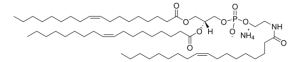 18:1 PE-N-18:1 