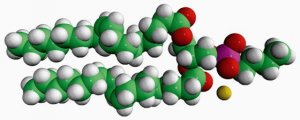 18:1 Phosphatidylbutanol 860203O-25MG