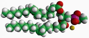 18:1 Phosphatidylethanol 840513C-25MG