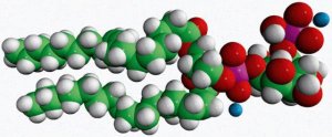 18:1 PI(5)P 