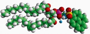18:1 Pyrene PE 810331P-1MG