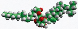 18:1 stigmasteryl glucose 700167P-1MG