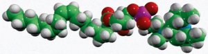 18:1 TEMPO Lyso PC 810607P-1MG