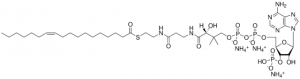 18:1(n7) Coenzyme A 870730P-5MG