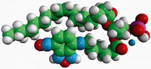 18:1-06:0 NBD PA 810175P-10MG